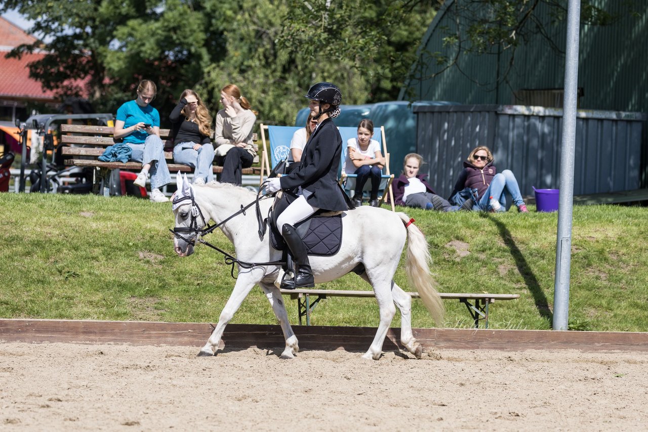 Bild 2 - Pony Akademie Turnier